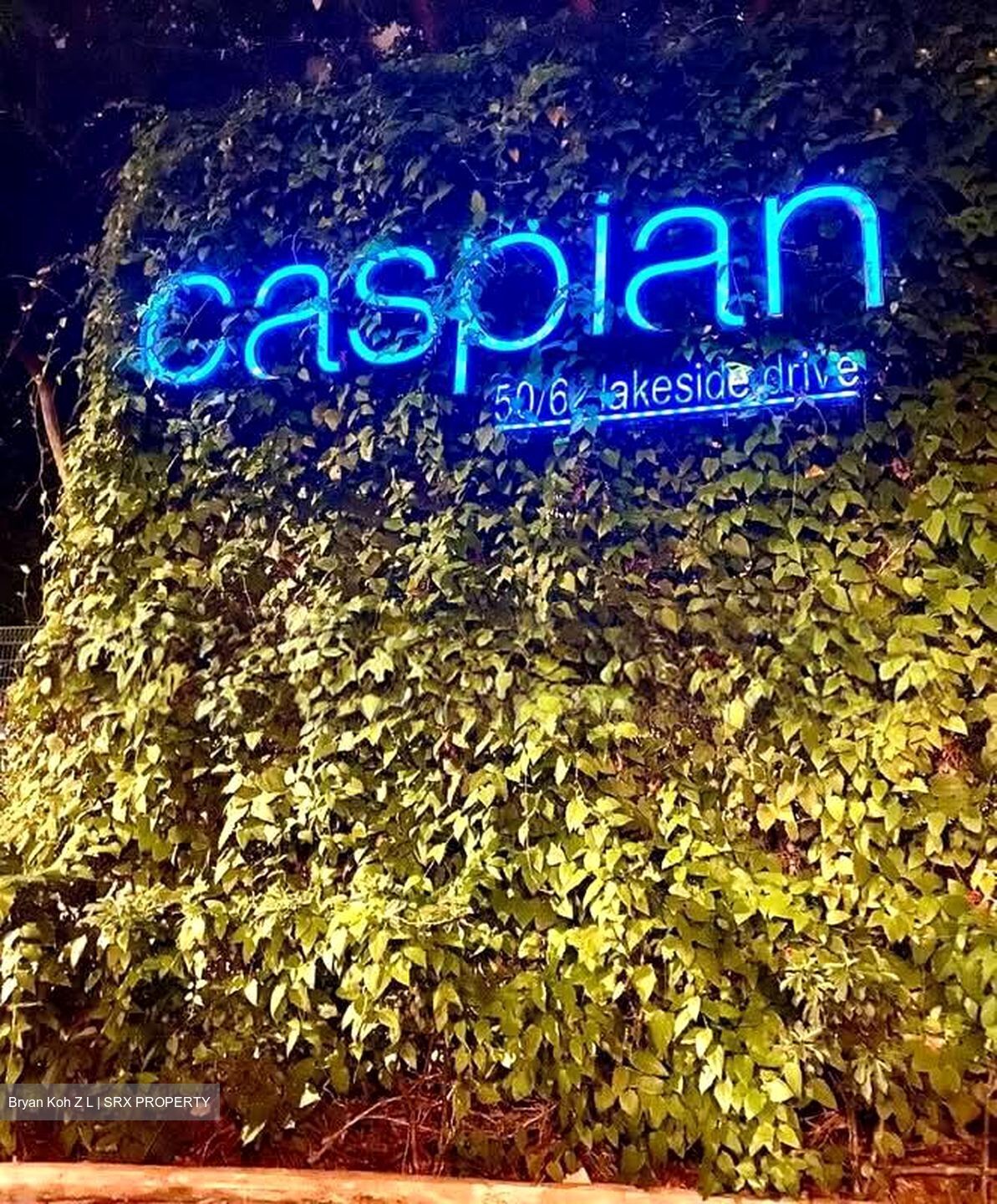 Caspian (D22), Condominium #542592531